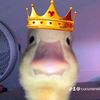 cucunenek006