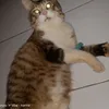 karinayerin51
