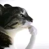 nahomipqo1