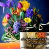 ijazahamdijaza261