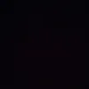elyas13077