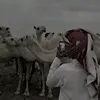 hdaoi.0