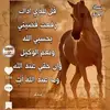 user8524845836195