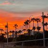 floridasunrise1982