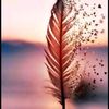 maram.abdullah14