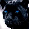kittykatw3