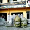 kedaiviralyz