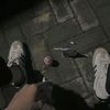 tholle_1616