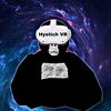 hystich_vr