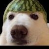 pumpkineater69692
