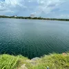 thanhtra17_02