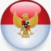saedi2024saedi