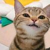 thamiii2_