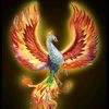 p_hoenix01
