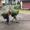 thangpal21