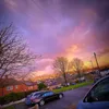 tylxr_11