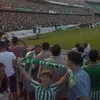 albirtosal