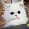 lananhlop6a6
