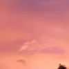 3verywon_n