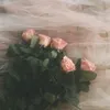 al.al.__1111