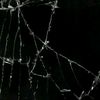 user_08505