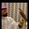 fahad__2a