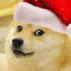 www.winter0.com