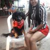 pinleidy