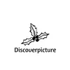 discoverpicture