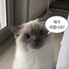xe.eunn