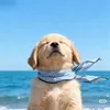 thewhale52hz