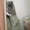 zzzzkids0