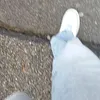 kevinmorin5
