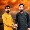 shazadli984
