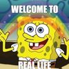 welcometoreallife_3