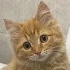 anaraaaa82