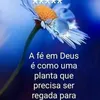 regianealvesfenix