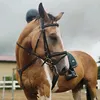 equestrian.m_12