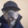 gabo_krik