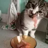 peporina_hb