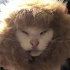 l_l0ve_cats