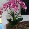 arinaazam3