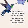 hola_holi30