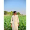 mughalmafia.804