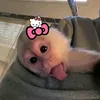 m0nkey