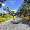 adobowithmangtomas