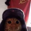 soviet.kitty