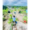 shaon_fire07