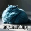 sir_ponchik14