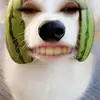 rhiannnon0
